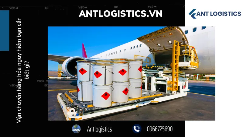 Tổ chức cá nhân khi vận chuyển phải làm gì?