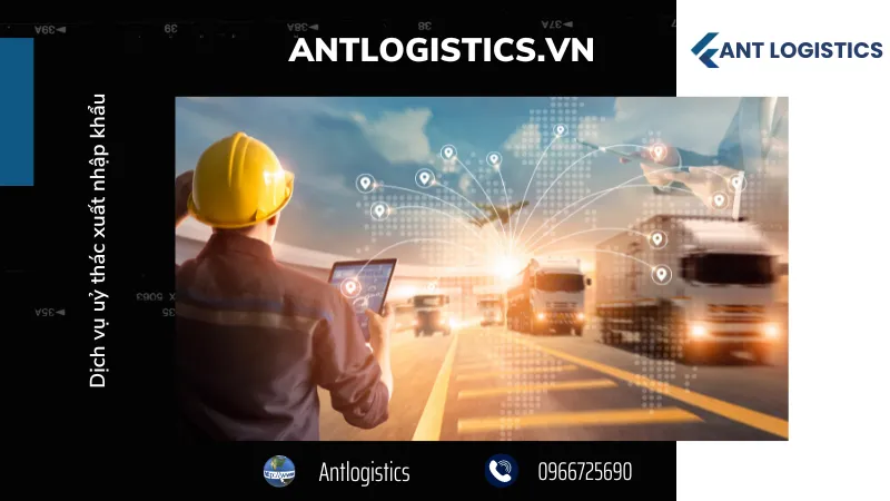 Dịch vụ uỷ thác xuất nhập khẩu - Khái quát về dịch vụ ủy thác xuất nhập khẩu 