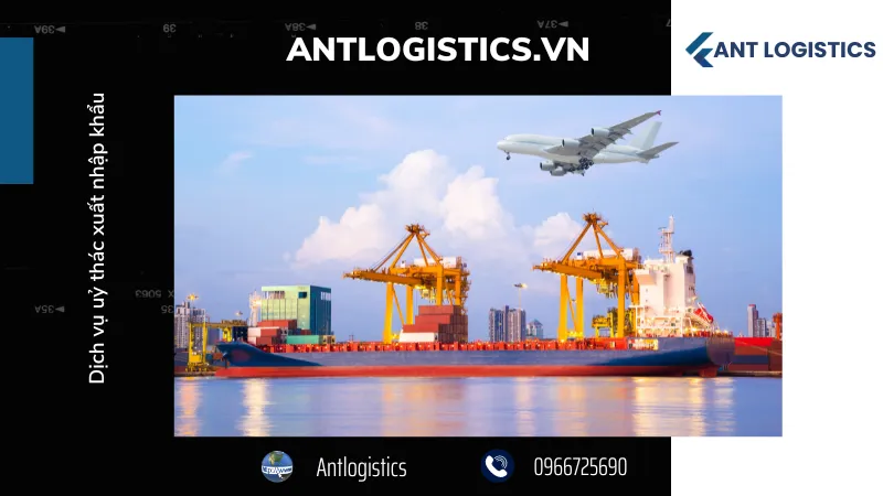 Dịch vụ uỷ thác xuất nhập khẩu - Lưu ý khi sử dụng dịch vụ ủy thác nhập khẩu