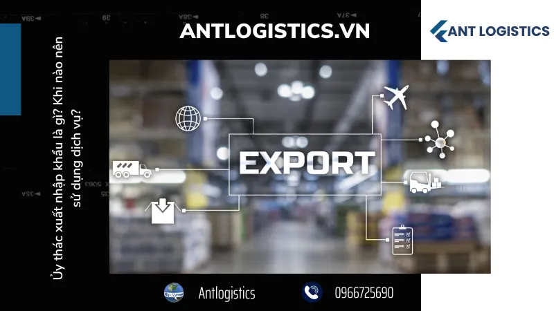 Những ai nên sử dụng uỷ thác xuất nhập khẩu?