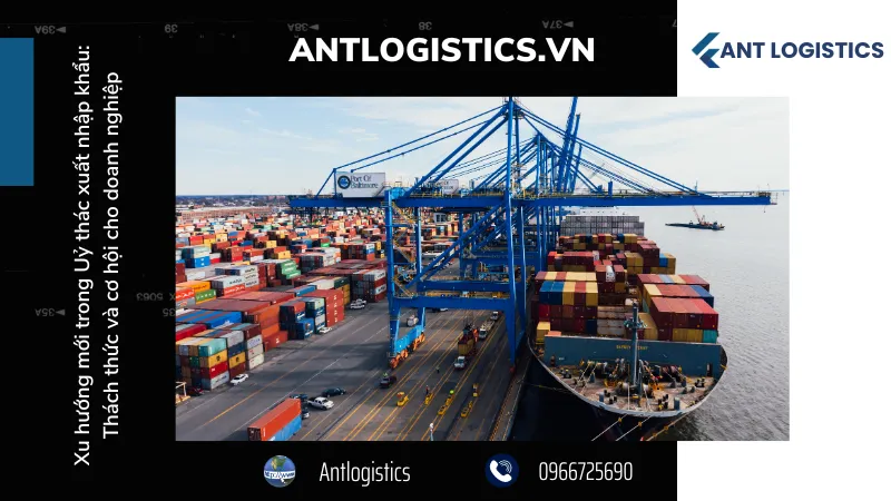 Xu hướng Uỷ thác xuất nhập khẩu - Trách nhiệm của doanh nghiệp được ủy thác