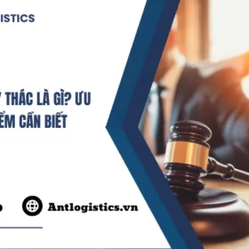 Nhập Khẩu Ủy Thác Là Gì Ưu Nhược Điểm Cần Biết