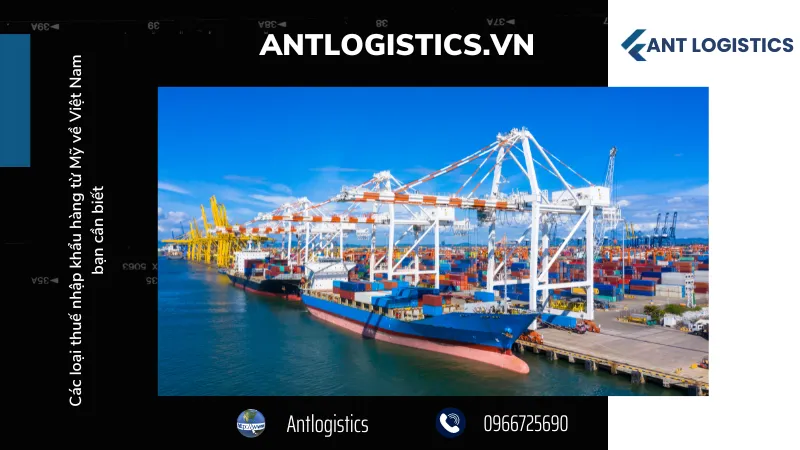 Thực hiện các thủ tục hải quan đúng quy định