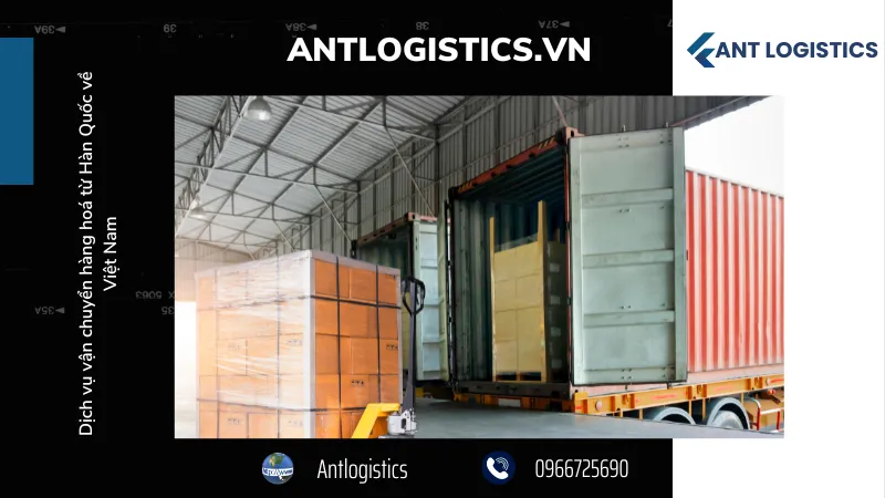 Antlogistics – Dịch vụ vận chuyển hàng hoá từ Hàn Quốc về Việt Nam uy tín