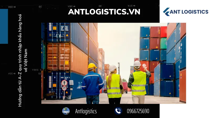 Khám phá thị trường nhập khẩu hàng hoá tại Việt Nam