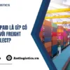 Freight Prepaid là gì Có gì khác với Freight Collect