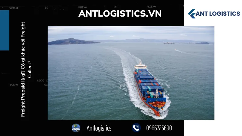 Điểm giống nhau của "Freight Prepaid" và "Freight Collect"