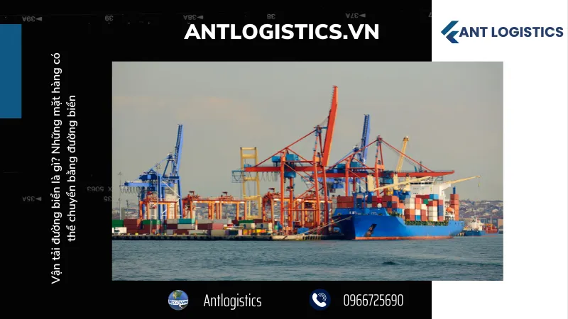 Những câu hỏi thường gặp