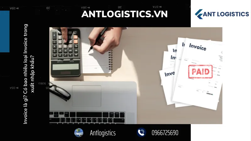 Electronic Invoice (Hóa đơn điện tử)