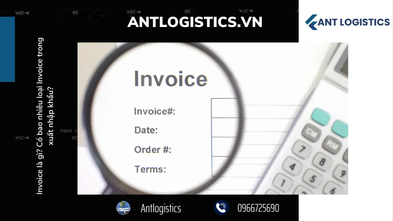 Phân loại Invoice trong xuất nhập khẩu