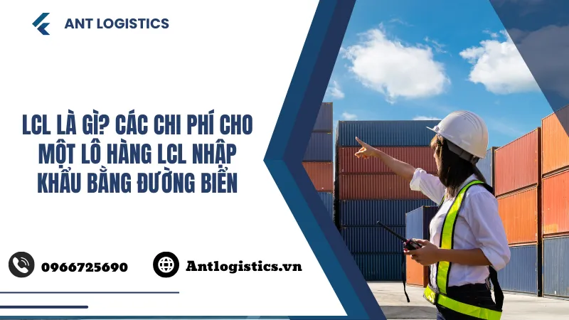 LCL là gì Các chi phí cho một lô hàng LCL nhập khẩu bằng đường biển