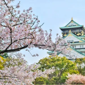 Vận chuyển Việt - Nhật