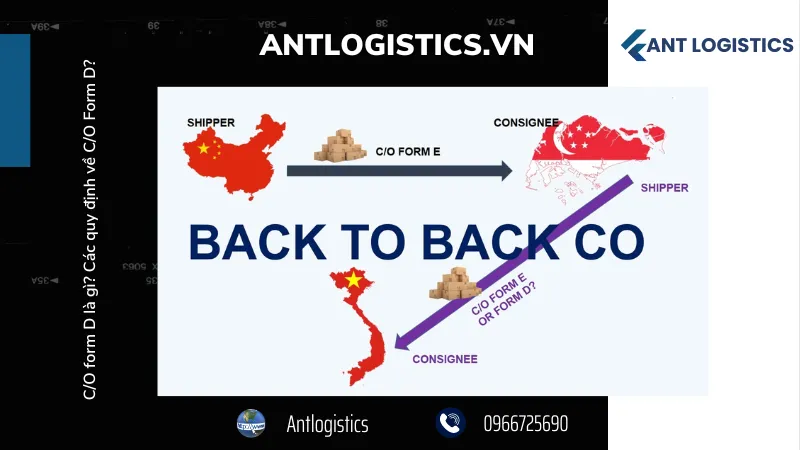 Các quy định