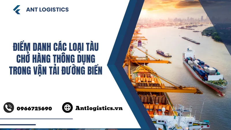 Điểm danh các loại tàu chở hàng thông dụng trong vận tải đường biển