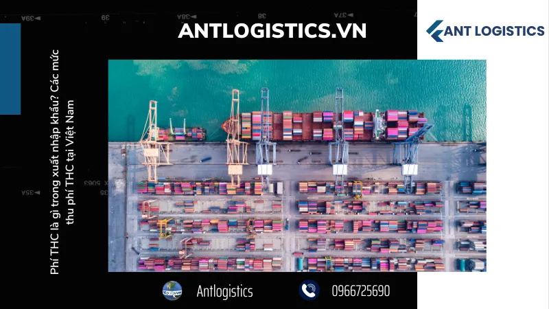 Phân biệt phí THC với phí Pick Up/Off container và Handling Fee