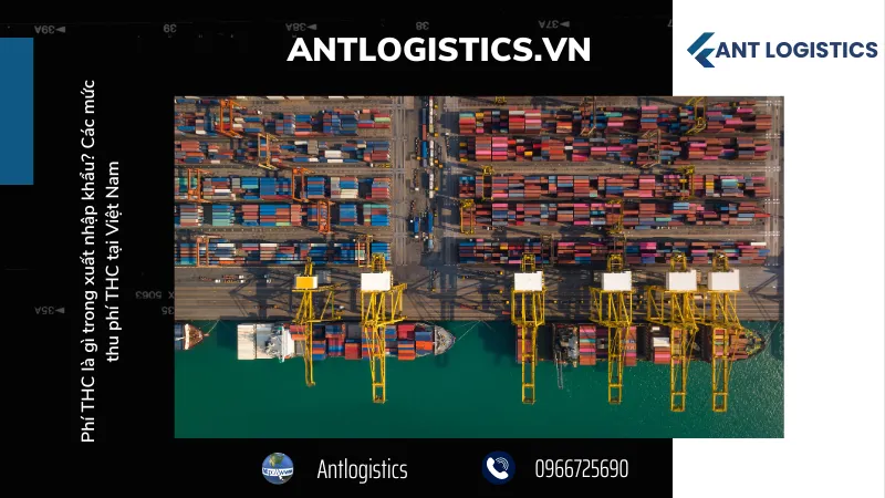 Những câu hỏi thường gặp