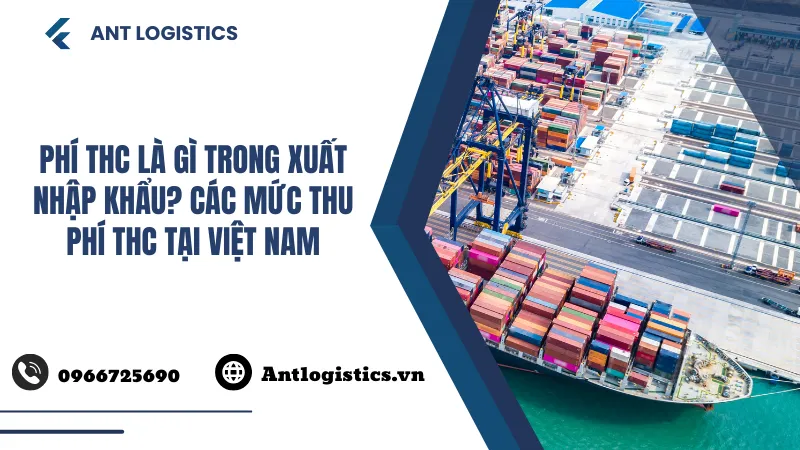 Phí THC là gì trong xuất nhập khẩu Các mức thu phí THC tại Việt Nam