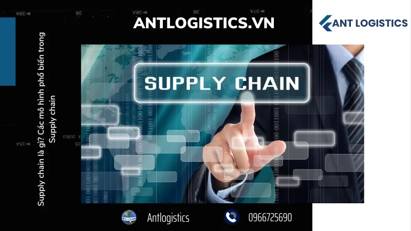Các vị trí công việc