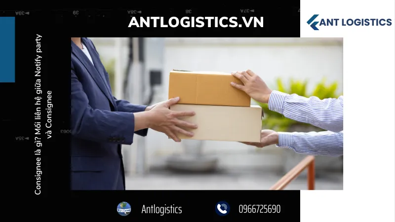 Làm thủ tục thông quan và thanh toán các khoản phí