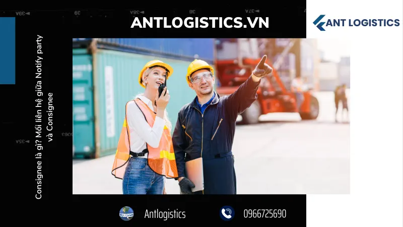 Cách phân biệt Shipper-consignee và Seller-buyer
