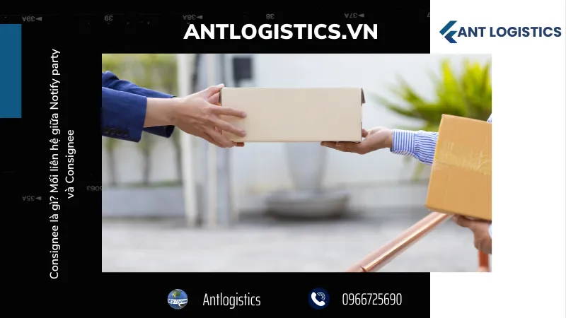 Consignee là gì?