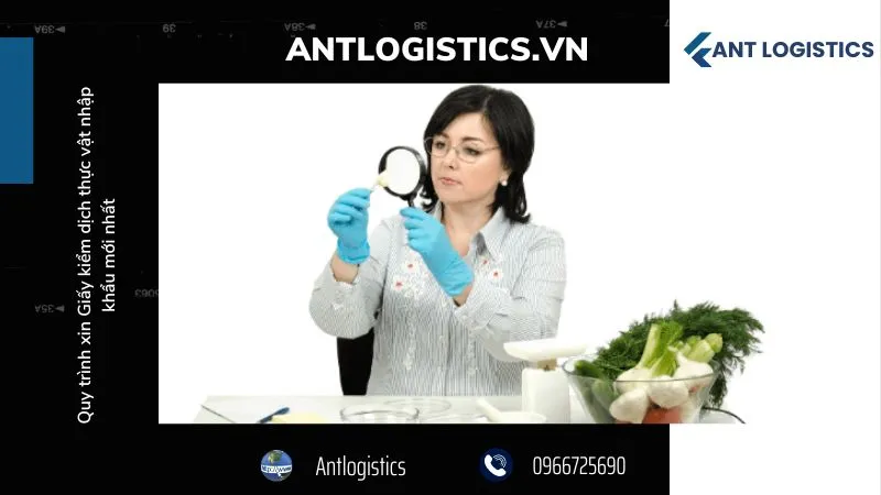 Quy trình xin Giấy kiểm dịch thực vật nhập khẩu