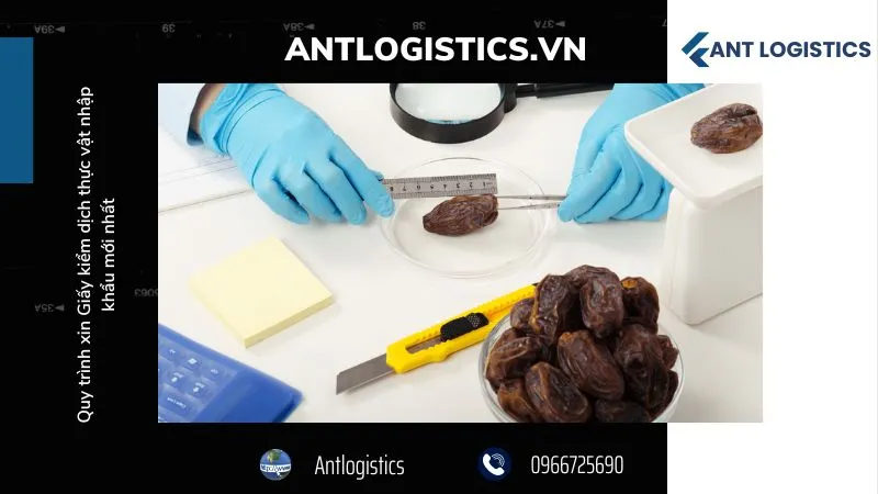 Định nghĩa Giấy kiểm dịch thực vật nhập khẩu