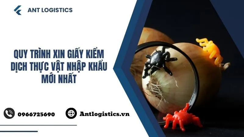 Quy trình xin Giấy kiểm dịch thực vật nhập khẩu mới nhất
