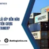 Cược cont là gì Bên nào đóng tiền cược container