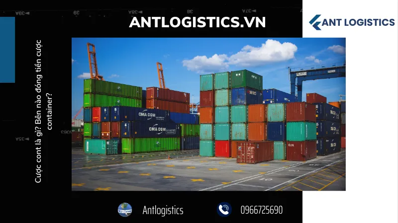 Lý do hãng tàu yêu cầu cược container