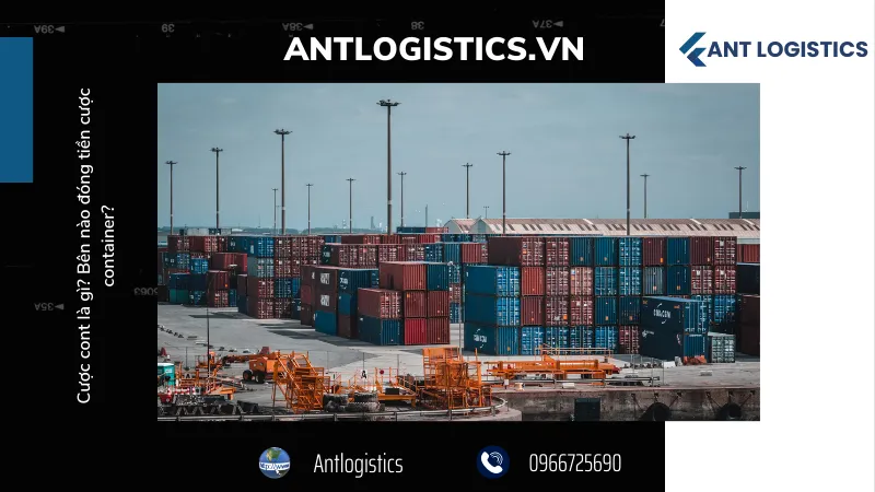 Ai chịu phí cược container?