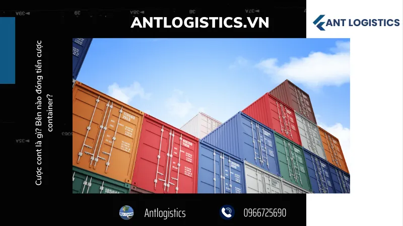 Lưu ý của chủ hàng khi vận chuyển hàng nguyên container (FCL) nhập khẩu
