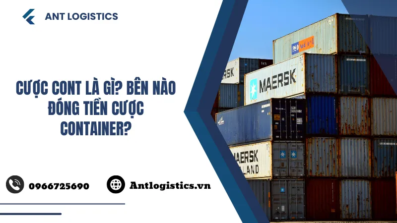 Cược cont là gì Bên nào đóng tiền cược container