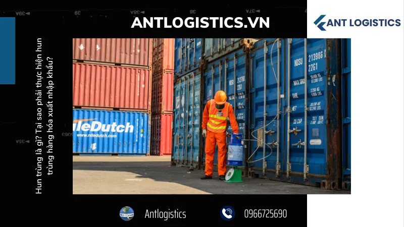 Quy trình kiểm tra và xác nhận