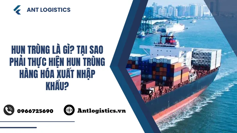 Hun trùng là gì Tại sao phải thực hiện hun trùng hàng hóa xuất nhập khẩu