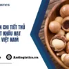 Hướng dẫn chi tiết thủ tục xuất khẩu hạt macca Việt Nam