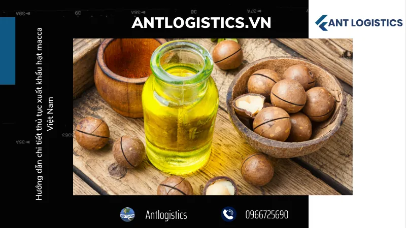 Quy định chung về xuất khẩu hạt macca Việt Nam