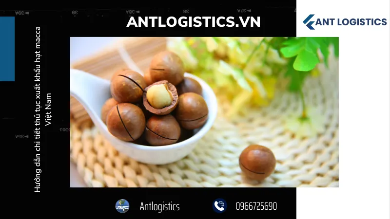 Các bước trong thủ tục xuất khẩu hạt macca Việt Nam