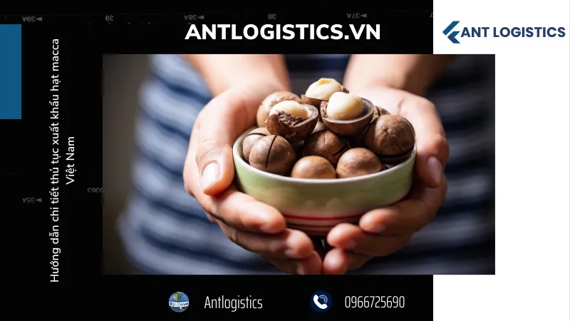 Thuế suất và mã HS của hạt macca
