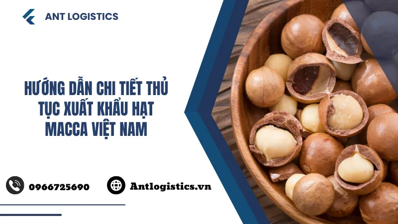 Hướng dẫn chi tiết thủ tục xuất khẩu hạt macca Việt Nam