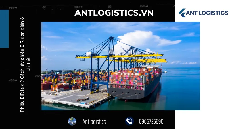 Các điều kiện và tiêu chuẩn về phiếu EIR