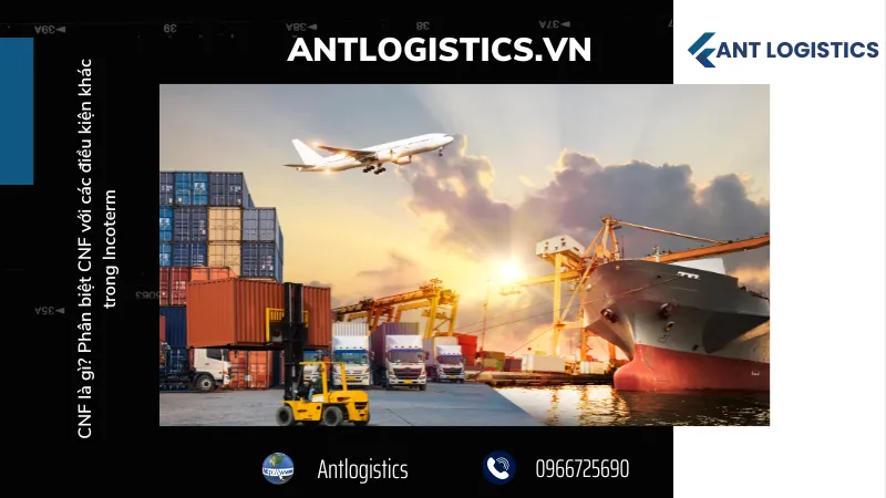 Phân biệt CNF với các điều kiện khác trong Incoterms
