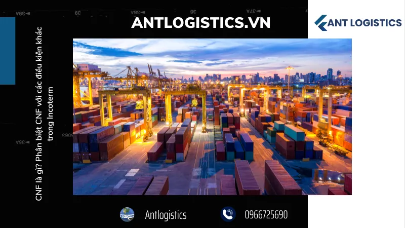 Khi nào bạn nên sử dụng CNF trong Incoterms?