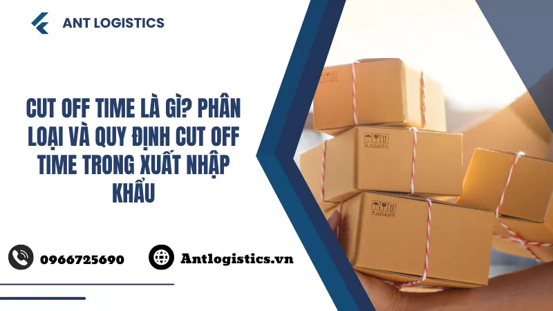 Cut off time là gì Phân loại và quy định cut off time trong xuất nhập khẩu