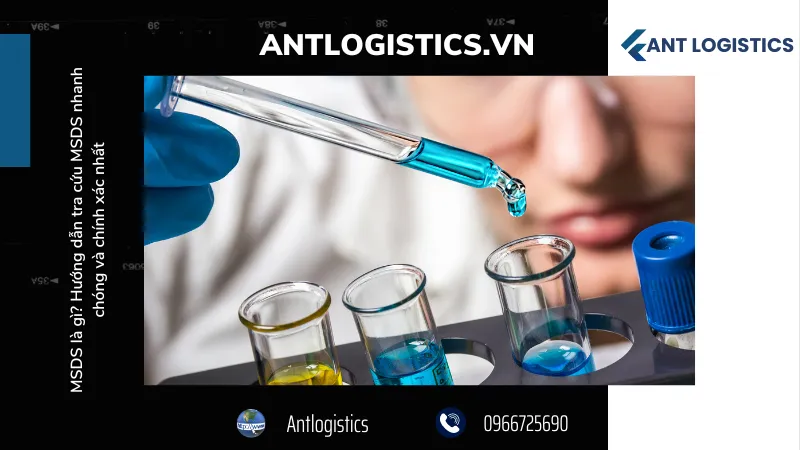 Cách tra cứu MSDS