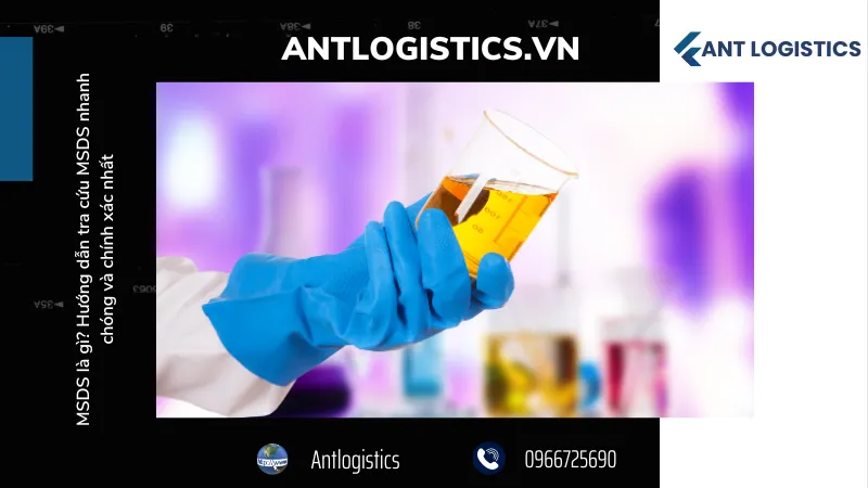 Kiểm tra định kỳ MSDS