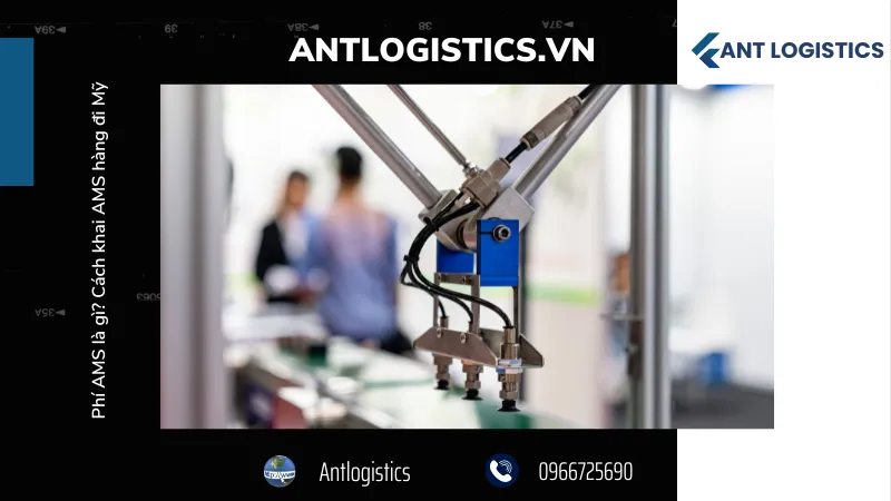 Các rủi ro phát sinh do việc không tuân thủ khai báo AMS