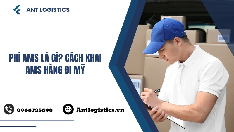 Phí AMS là gì Cách khai AMS hàng đi Mỹ