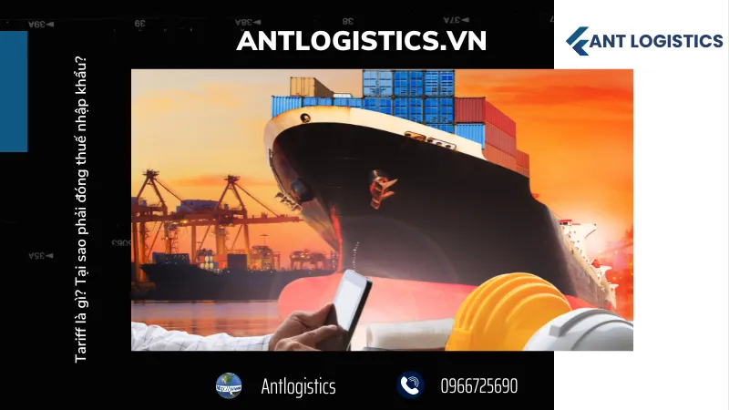 Ưu điểm của việc áp thuế nhập khẩu