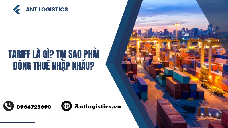 Tariff là gì Tại sao phải đóng thuế nhập khẩu